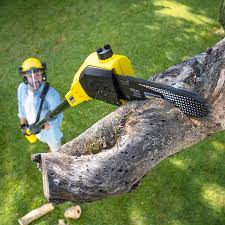 Pest Control for Lawns in Coburg, OR